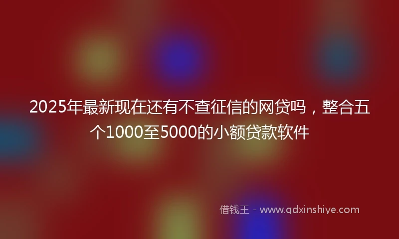 2025年最新现在还有不查征信的网贷吗，整合五个1000至5000的小额贷款软件