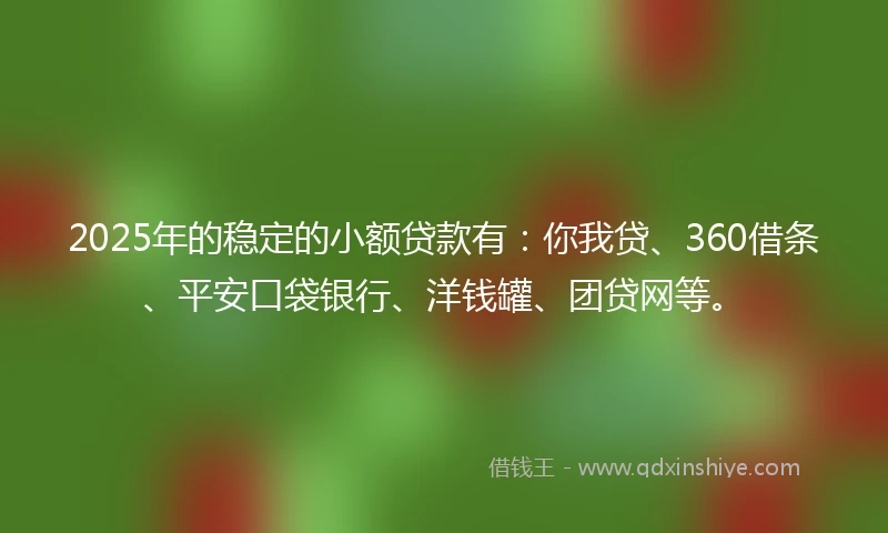 2025年的稳定的小额贷款有：你我贷、360借条、平安口袋银行、洋钱罐、团贷网等。