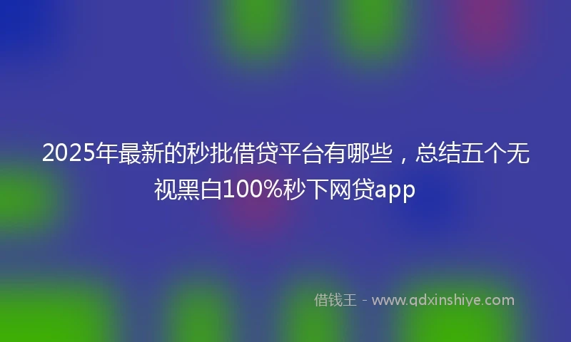 2025年最新的秒批借贷平台有哪些，总结五个无视黑白100%秒下网贷app