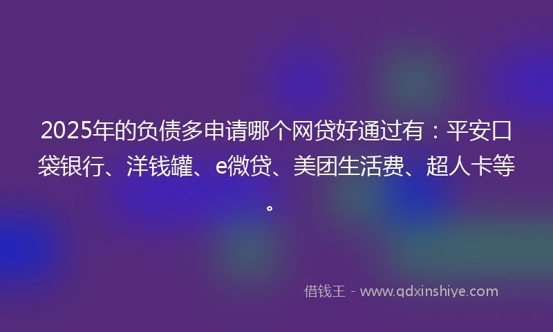2025年的负债多申请哪个网贷好通过有：平安口袋银行、洋钱罐、e微贷、美团生活费、超人卡等。