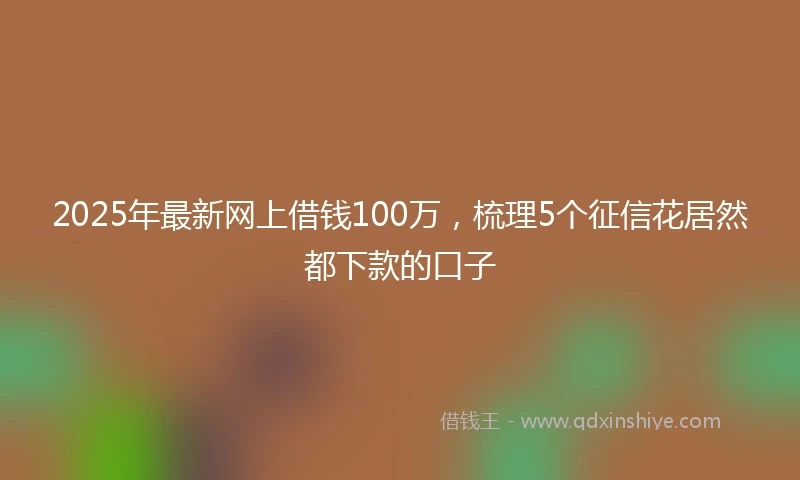 2025年最新网上借钱100万，梳理5个征信花居然都下款的口子