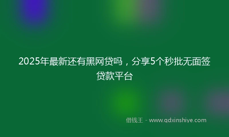 2025年最新还有黑网贷吗，分享5个秒批无面签贷款平台
