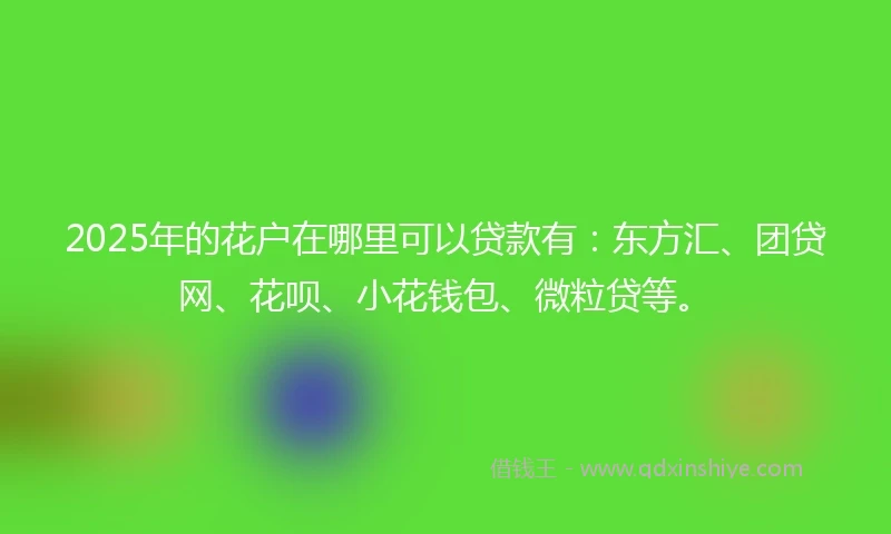 2025年的花户在哪里可以贷款有：东方汇、团贷网、花呗、小花钱包、微粒贷等。