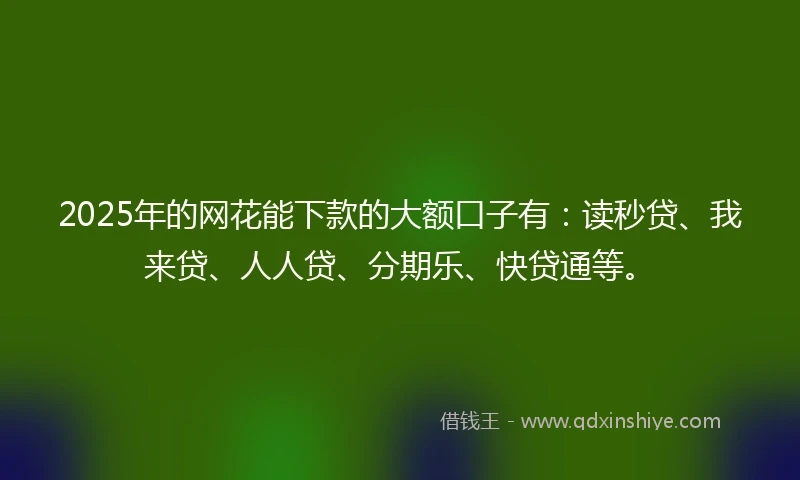 2025年的网花能下款的大额口子有：读秒贷、我来贷、人人贷、分期乐、快贷通等。