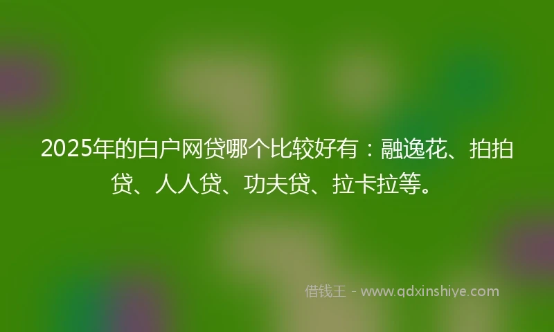 2025年的白户网贷哪个比较好有：融逸花、拍拍贷、人人贷、功夫贷、拉卡拉等。