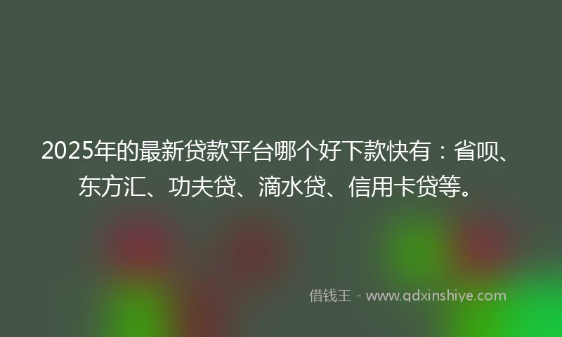 2025年的最新贷款平台哪个好下款快有：省呗、东方汇、功夫贷、滴水贷、信用卡贷等。