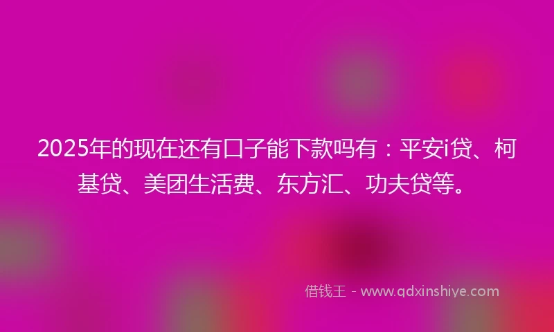 2025年的现在还有口子能下款吗有：平安i贷、柯基贷、美团生活费、东方汇、功夫贷等。