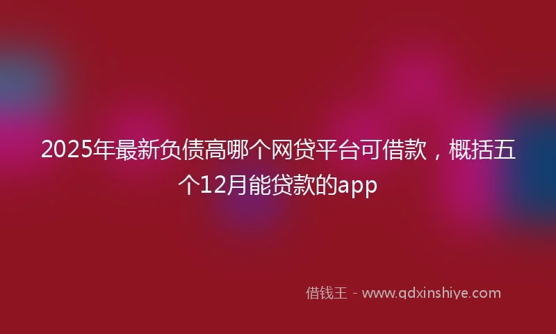 2025年最新负债高哪个网贷平台可借款,概括五个12月能贷款的app