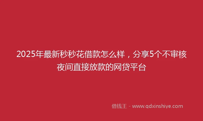 2025年最新秒秒花借款怎么样，分享5个不审核夜间直接放款的网贷平台