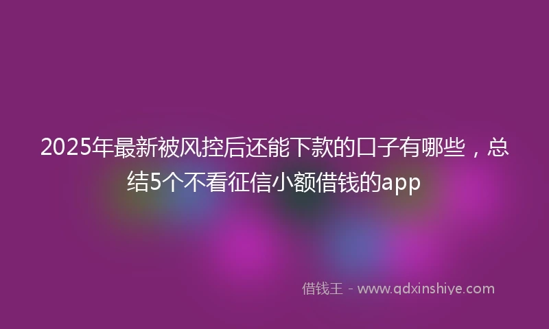 2025年最新被风控后还能下款的口子有哪些,总结5个不看征信小额借钱的app