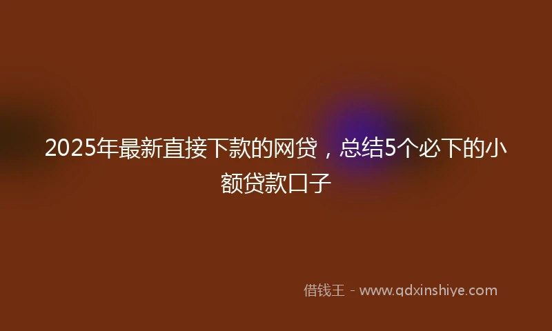 2025年最新直接下款的网贷，总结5个必下的小额贷款口子