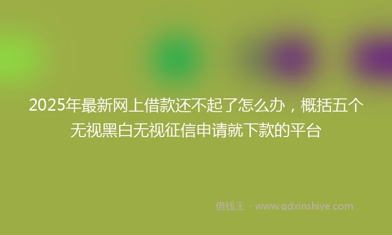 2025年最新网上借款还不起了怎么办，概括五个无视黑白无视征信申请就下款的平台