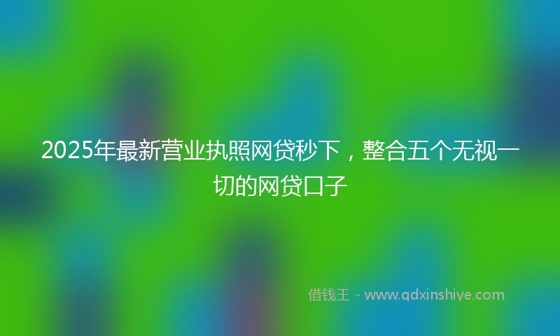 2025年最新营业执照网贷秒下，整合五个无视一切的网贷口子