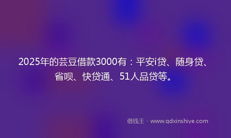 2025年的芸豆借款3000有：平安i贷、随身贷、省呗、快贷通、51人品贷等。