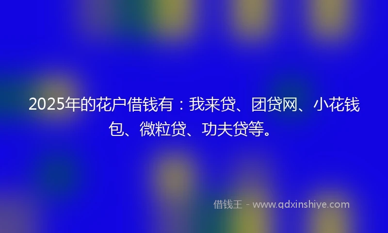 2025年的花户借钱有：我来贷、团贷网、小花钱包、微粒贷、功夫贷等。