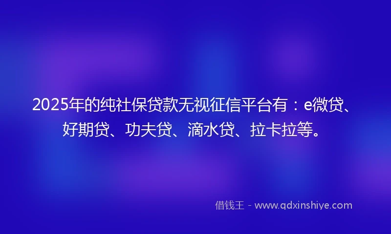 2025年的纯社保贷款无视征信平台有：e微贷、好期贷、功夫贷、滴水贷、拉卡拉等。