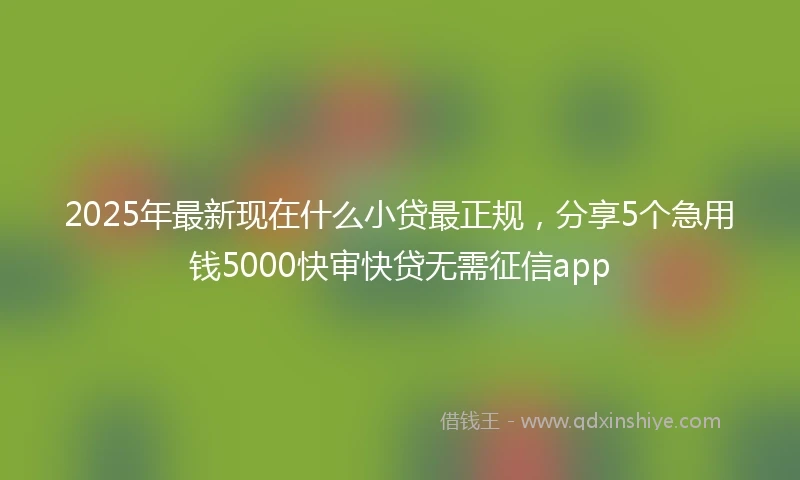 2025年最新现在什么小贷最正规，分享5个急用钱5000快审快贷无需征信app