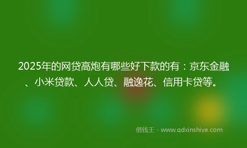 2025年的网贷高炮有哪些好下款的有：京东金融、小米贷款、人人贷、融逸花、信用卡贷等。
