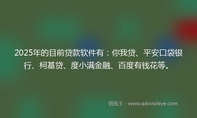2025年的目前贷款软件有：你我贷、平安口袋银行、柯基贷、度小满金融、百度有钱花等。