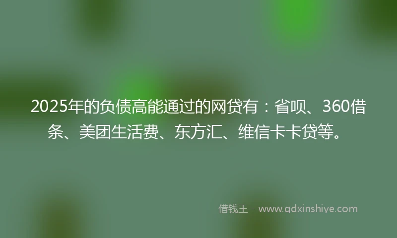 2025年的负债高能通过的网贷有：省呗、360借条、美团生活费、东方汇、维信卡卡贷等。