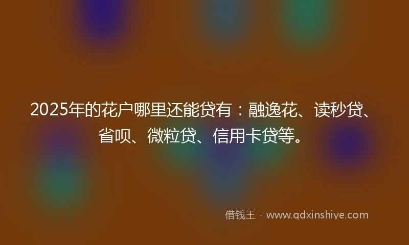 2025年的花户哪里还能贷有：融逸花、读秒贷、省呗、微粒贷、信用卡贷等。