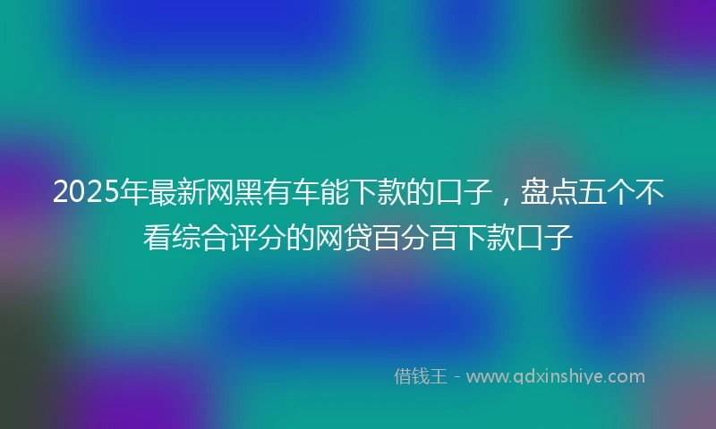 2025年最新网黑有车能下款的口子，盘点五个不看综合评分的网贷百分百下款口子