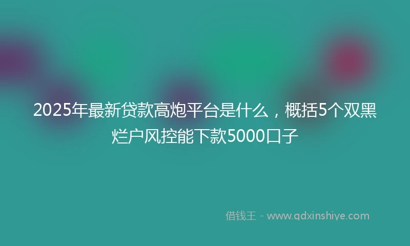 2025年最新贷款高炮平台是什么，概括5个双黑烂户风控能下款5000口子