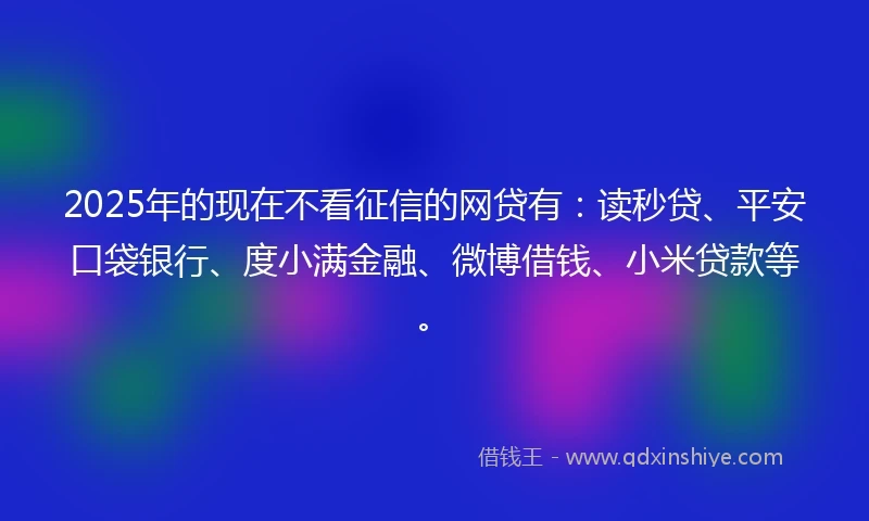 2025年的现在不看征信的网贷有：读秒贷、平安口袋银行、度小满金融、微博借钱、小米贷款等。