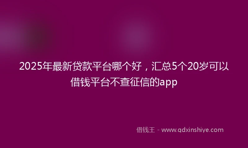 2025年最新贷款平台哪个好，汇总5个20岁可以借钱平台不查征信的app