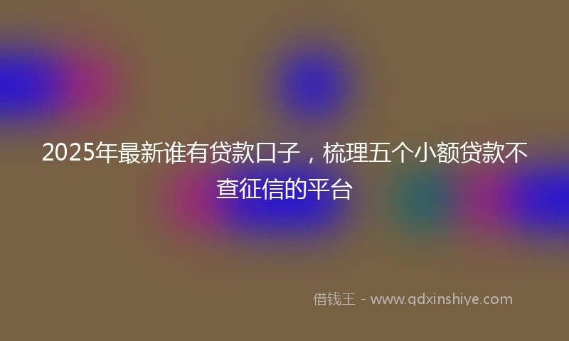 2025年最新谁有贷款口子，梳理五个小额贷款不查征信的平台