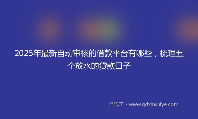 2025年最新自动审核的借款平台有哪些，梳理五个放水的贷款口子