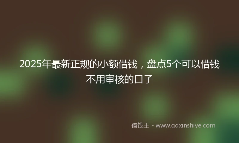 2025年最新正规的小额借钱，盘点5个可以借钱不用审核的口子