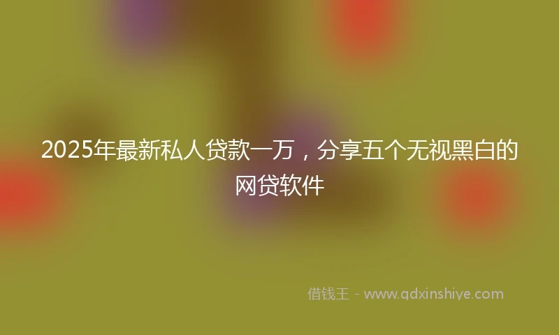 2025年最新私人贷款一万，分享五个无视黑白的网贷软件