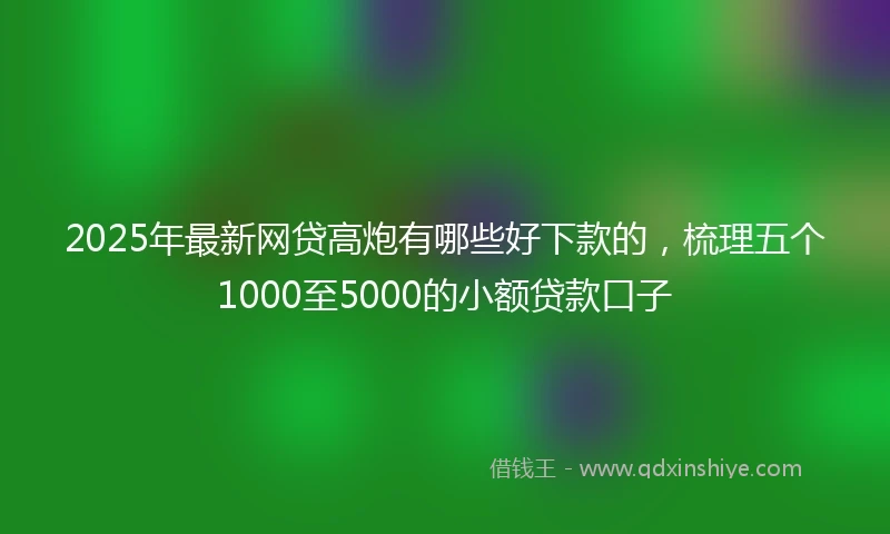 2025年最新网贷高炮有哪些好下款的,梳理五个1000至5000的小额贷款口子