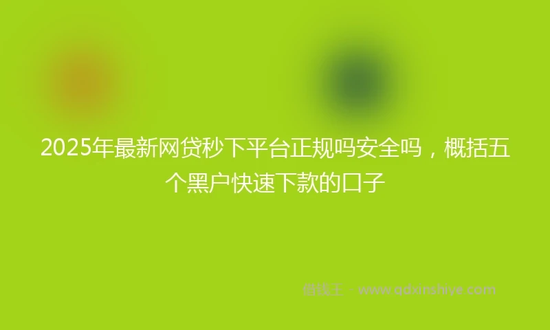 2025年最新网贷秒下平台正规吗安全吗，概括五个黑户快速下款的口子