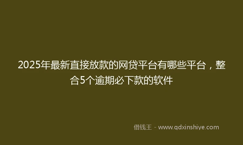 2025年最新直接放款的网贷平台有哪些平台，整合5个逾期必下款的软件