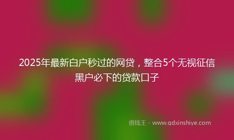 2025年最新白户秒过的网贷，整合5个无视征信黑户必下的贷款口子