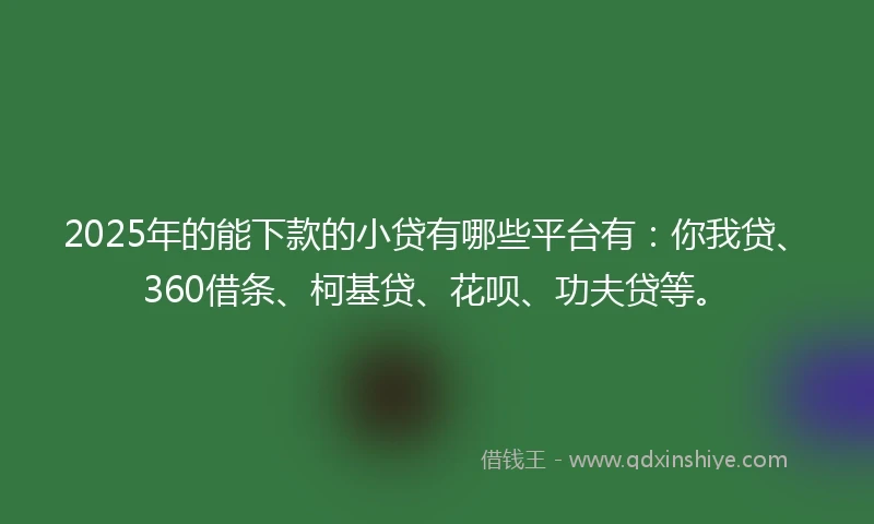 2025年的能下款的小贷有哪些平台有：你我贷、360借条、柯基贷、花呗、功夫贷等。