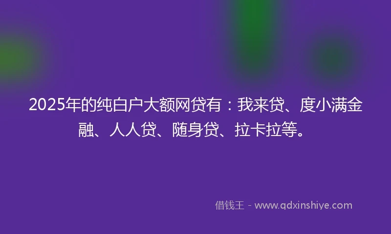 2025年的纯白户大额网贷有：我来贷、度小满金融、人人贷、随身贷、拉卡拉等。