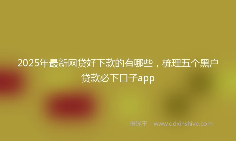 2025年最新网贷好下款的有哪些，梳理五个黑户贷款必下口子app