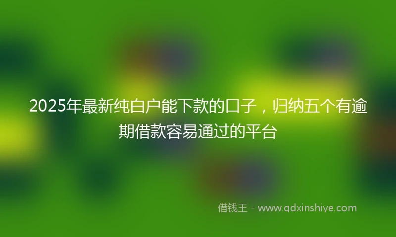 2025年最新纯白户能下款的口子，归纳五个有逾期借款容易通过的平台