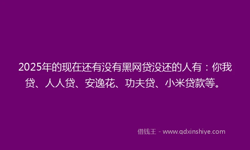 2025年的现在还有没有黑网贷没还的人有：你我贷、人人贷、安逸花、功夫贷、小米贷款等。