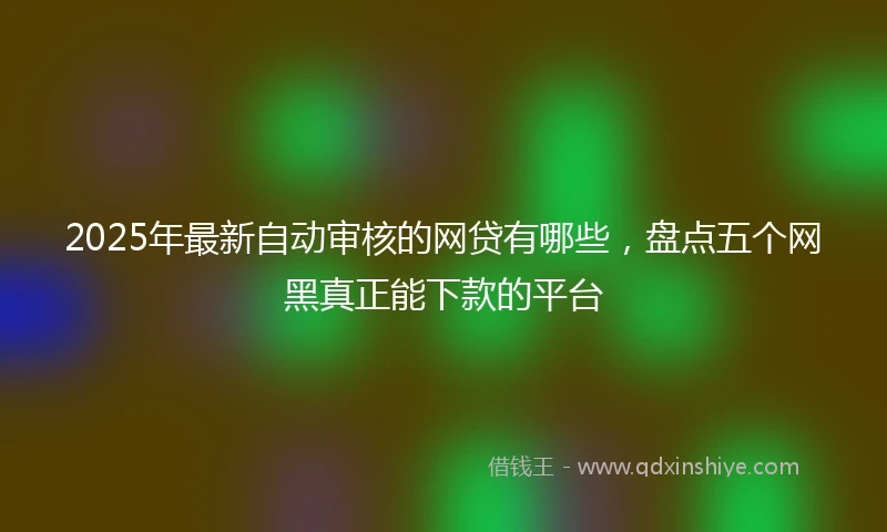 2025年最新自动审核的网贷有哪些，盘点五个网黑真正能下款的平台