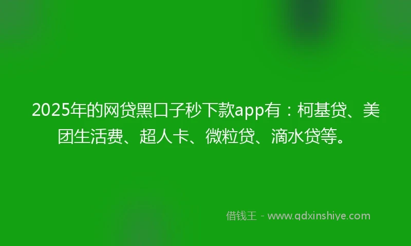 2025年的网贷黑口子秒下款app有：柯基贷、美团生活费、超人卡、微粒贷、滴水贷等。