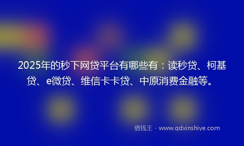 2025年的秒下网贷平台有哪些有：读秒贷、柯基贷、e微贷、维信卡卡贷、中原消费金融等。