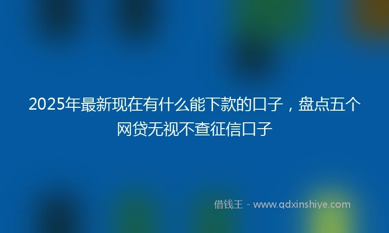 2025年最新现在有什么能下款的口子，盘点五个网贷无视不查征信口子