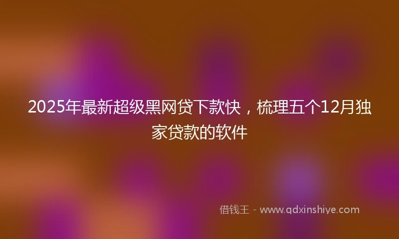 2025年最新超级黑网贷下款快，梳理五个12月独家贷款的软件