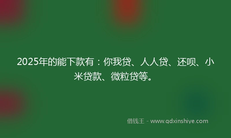 2025年的能下款有：你我贷、人人贷、还呗、小米贷款、微粒贷等。