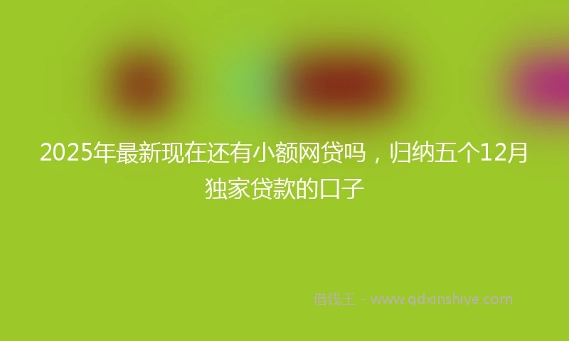 2025年最新现在还有小额网贷吗，归纳五个12月独家贷款的口子
