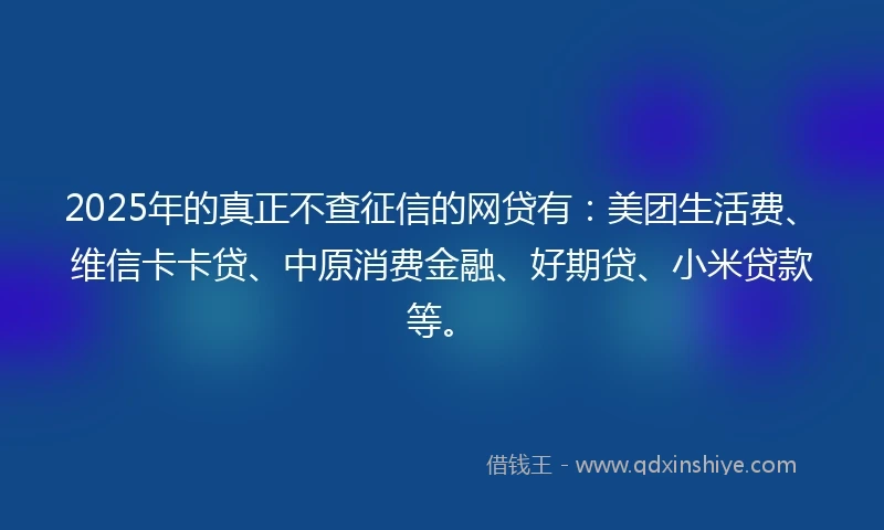 2025年的真正不查征信的网贷有：美团生活费、维信卡卡贷、中原消费金融、好期贷、小米贷款等。